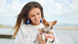 Choosing Right Dog Apparel for Your Dog?
