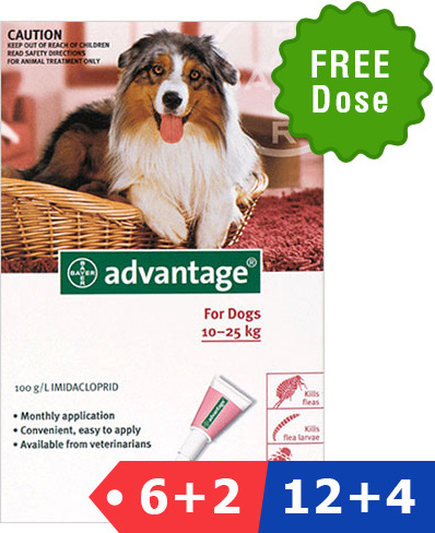 Advantage for Dogs, Buy 6 Doses Get 2 Doses Free