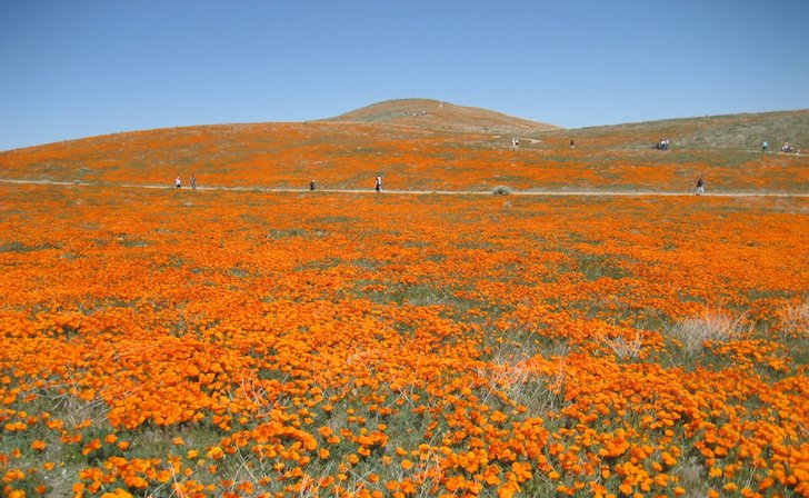 Antelope Valley - California