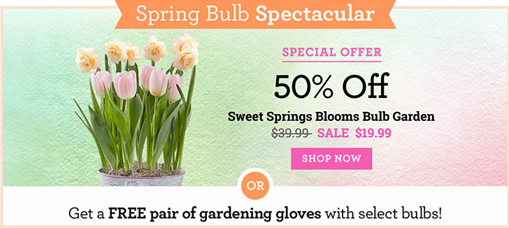 1-800-Flowers: Up to 50% OFF the Spring Bulb Spectacular