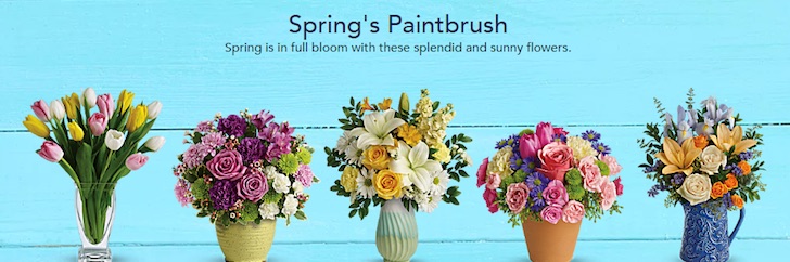 Teleflora Flowers: Spring Paintbrush