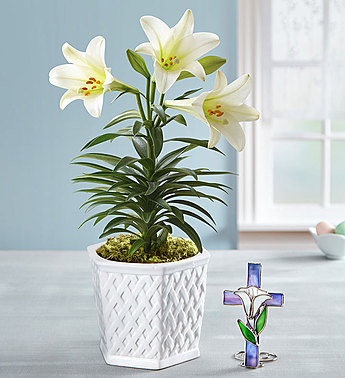 Easter Blessing Lily, Start at $29.99