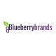 Blueberry Brands Logo